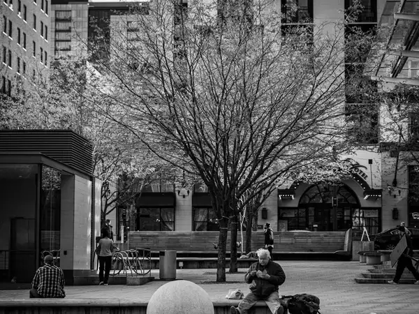 Historic architecture in downtown Albany Oregon